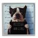 Stupell Industries Funny Boston Terrier Dog Jail Convicted Police By Lucia Heffernan Wood in Brown | 24 H x 24 W x 1.5 D in | Wayfair