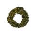 The Holiday Aisle® Preserved 36" Lighted Greenery Wreath in Green/White | 7 H x 36 W x 36 D in | Wayfair 1EE17E3D4D04402796307B26C992B7D7