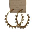 Anthropologie Jewelry | Nwt Anthropologie Pearl Hoop Earrings | Color: Gold/White | Size: Os