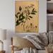 August Grove® Vintage Plant Life V - Unframed Painting on Wood in Brown/Green/Yellow | 12 H x 8 W x 1 D in | Wayfair