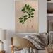 August Grove® Vintage Plant Life XIX - Unframed Graphic Art on Wood in White | 36 H x 24 W x 1 D in | Wayfair 82940DEC6FE74E77BA6E29930ADC895C