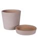 Wade Logan® Aneri Cement Cachepot in Pink | 4.75 H x 4.75 W x 4.75 D in | Wayfair 09B6245462584E84A73CDCF1A4634BFD