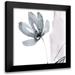 Goldberger Jennifer 20x20 Black Modern Framed Museum Art Print Titled - Blush Flower Splash I