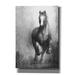 Epic Graffiti Galloping Horse by White Ladder Giclee Canvas Wall Art 18 x26