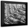 Kimberly Allen 15x15 Black Modern Framed Museum Art Print Titled - Silver Fern 3
