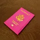 protege passport de voyage rose accessoires de voyage étuis pour passeport porte-passeport de