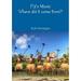 Fiji s Music (Paperback)