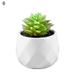 Easy to Maintain Artificial Potted White Ceramic Potted Mini Modern Decoration Artificial Succulent Potted for Home