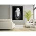Artful Printers White Horse Face - Unframed Photograph Plastic/Acrylic in Black/White | 60 H x 60 W x 1 D in | Wayfair AC-40603607
