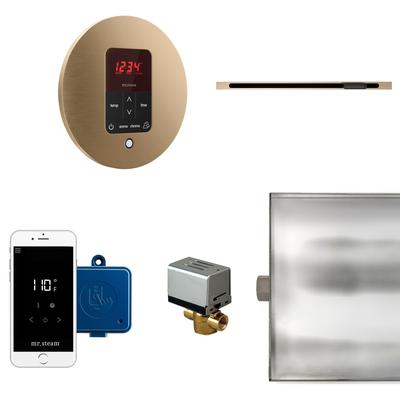 Mr Steam BTLRL1R Butler Linear Steam Generator Control Kit / Package