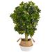 4' Schefflera Artificial Tree in Boho Chic Handmade Cotton & Jute White Woven Planter (Real Touch)