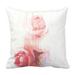 ABPHQTO Rose Art Fade Pillow Case Pillow Cover Pillow Protector Two Sides For Couch Bed 18x18 Inch