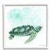 Stupell Industries Speckled Green Sea Turtle Marine Life Painting Graphic Art White Framed Art Print Wall Art Design by Diane Neukirch