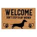 Door Mat Durable Welcome Mat Floor Mat Front Doormat Indoor Outdoor Door Rug Non Slip Rugs for Entryway Patio (40x60cm)