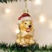 Old World Christmas Glass Blown Jolly Pup Hanging Figurine Ornament Glass in Red/Yellow | 5 H x 5 W x 7 D in | Wayfair 729343121332