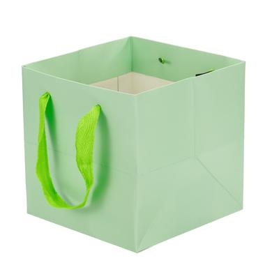 16x16x16cm Paper Bag with Handle, 12 Pack Bouquet Packaging Bag, Light Green - Light Green