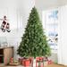 Vail Artificial Christmas Tree with Lights, Prelit Christmas tree, Pine Christmas Trees with tips