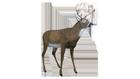 Flambeau Master Deer Decoy