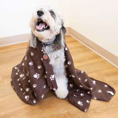 Perro & Gato Paws 6-Piece Pet Blankets