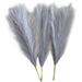 3 Pieces Dried Pampas Grass Bunch Flower Arrangement Phragmites Reed Flower for Grey