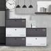 Latitude Run® 1-Drawer Lateral Filing Cabinet Metal/Steel in White | 15.7 H x 35.4 W x 17.7 D in | Wayfair B59B3CD246CF40DDA110B59DD50393DD