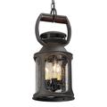 Troy Lighting Old Trail 19 Inch Tall 3 Light Outdoor Hanging Lantern - F4517-HBZ
