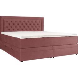 Boxspringbett LEONIQUE "Julien", rot (maroon), B:141cm L:210cm, 100% Polyester, Komplettbetten, Boxspringbett, mit Taschenfederkernmatratze