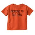 Promoted to Big Brother Announcement Youth T Shirt Tee Boys Infant Toddler Brisco Brands 4T