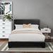 CDecor Home Furnishings Clara Standard Bed Upholstered/Faux leather in Black/Brown | 47 H x 41.25 W x 80 D in | Wayfair 300037Ti