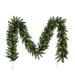 Vickerman 17294 - 9' x 12" Camdon Garland 50Led Frost WmWh (A861106LED) Traditional Green Christmas Garland