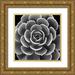Jensen Mia 15x15 Gold Ornate Wood Framed with Double Matting Museum Art Print Titled - Succulent IIII IV