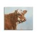 Stupell Industries Brown Dairy Cow Detailed Farm Animal Painting Painting Gallery Wrapped Canvas Print Wall Art Design by David Stribbling