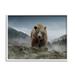 Stupell Industries Roaring Brown Grizzly Bear Rocky Mountain Top View Graphic Art White Framed Art Print Wall Art Design by Kelley Parker