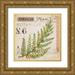 Staehling Angela 15x15 Gold Ornate Wood Framed with Double Matting Museum Art Print Titled - Fern Leaf-Sketchbook