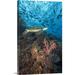 Great BIG Canvas | Malaysia Sipidan Green Sea Turtle On Reef With Soft Coral And Schooling Fish Canvas Wall Art - 20x30