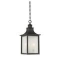 3 Light Outdoor Hanging Lantern-Modern Farmhouse Style with Rustic and Transitional Inspirations-22.5 inches Tall By 10 inches Wide-Slate Finish