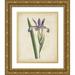 Curtis 20x24 Gold Ornate Wood Framed with Double Matting Museum Art Print Titled - Lavender Curtis Botanicals III
