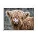 Stupell Industries Baby Highland Calf Cattle Licking Lips Country Farmland Photograph White Framed Art Print Wall Art Design by James Dobson