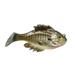 Catch Company 10 000 Fish Head Hunter - Premium Swimbait