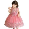 Little & Toddler Floral Embroidered Lace Girls Party Dress Q510 Sizes 2-5