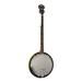 Washburn B9 Americana Series (5 String) Banjo. Sunburst