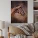Union Rustic Portrait Of Brown Horse - Farmhouse Wood Wall Art Panels - Natural Pine Wood in Black/Brown/Gray | 12 H x 8 W x 1 D in | Wayfair