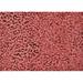 Ahgly Company Machine Washable Indoor Rectangle Transitional Red Area Rugs 7 x 9