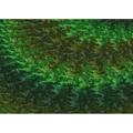 Ahgly Company Machine Washable Indoor Rectangle Transitional Dark Forest Green Area Rugs 7 x 10