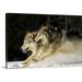 Great BIG Canvas | Pack Of Grey Wolves Running Through Deep Snow Canvas Wall Art - 24x16