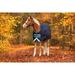 Amigo Bravo 12 Original Pony Turnout Blanket (250g Medium) Navy (Turquoise/Aqua Trim) Size: 60