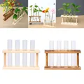 Vase à tube à essai en verre de cristal dans un support en bois pots de fleurs pour plantes