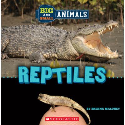 Big and Small: Reptiles (paperback) - by Brenna Maloney