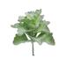 Primrue Artificial Kalanchoe Succulent Plastic | 5 H x 4.5 W x 4.5 D in | Wayfair C3B5B8F4F5A74796B9AE81AE99CBF30C