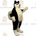 Dog BIGGYMONKEYâ„¢ Mascot Costume - Black Husky